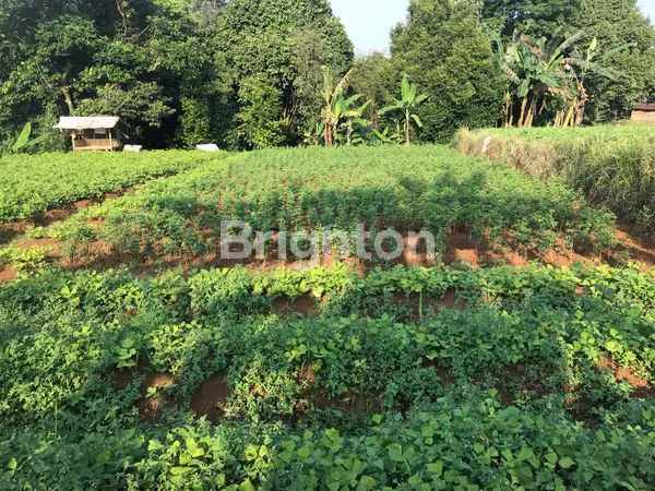 image TANAH KOMERSIL PINGGIR JALAN COCOK DI BANGUN PERUMAHAN ATAU CLUSTER ATAU RUKO DAERAH DRAMAGA BOGOR (1)