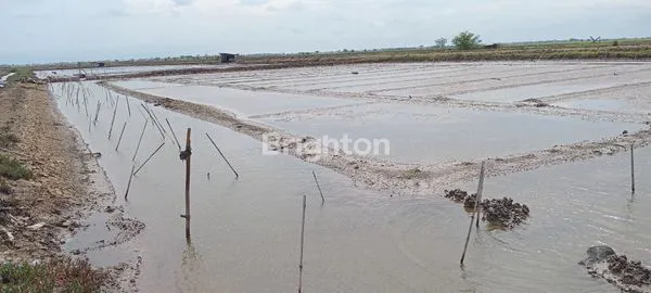 image TURUN HARGA!!!JUAL TANAH EMPANG KRANGKENG INDRAMAYU JAWA BARAT (6)