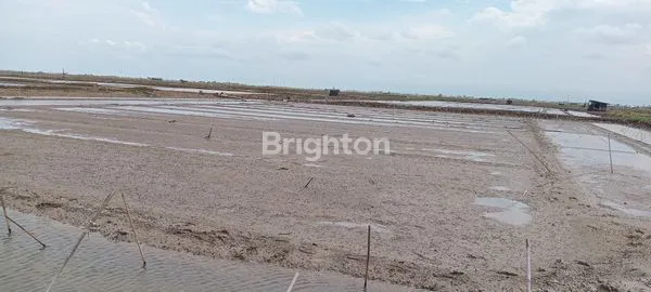 image TURUN HARGA!!!JUAL TANAH EMPANG KRANGKENG INDRAMAYU JAWA BARAT (5)