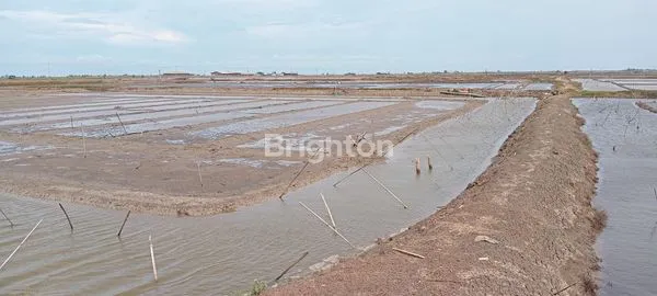 image TURUN HARGA!!!JUAL TANAH EMPANG KRANGKENG INDRAMAYU JAWA BARAT (4)