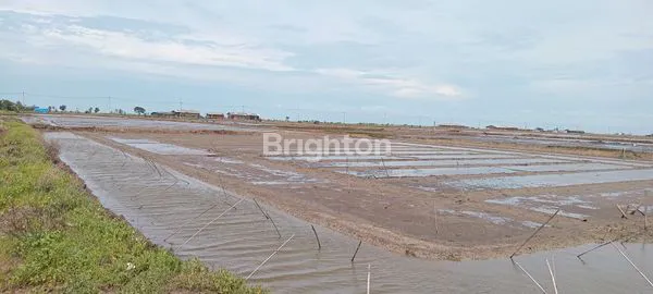 image TURUN HARGA!!!JUAL TANAH EMPANG KRANGKENG INDRAMAYU JAWA BARAT (3)