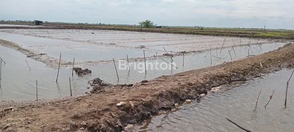 image TURUN HARGA!!!JUAL TANAH EMPANG KRANGKENG INDRAMAYU JAWA BARAT (7)