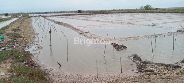 image TURUN HARGA!!!JUAL TANAH EMPANG KRANGKENG INDRAMAYU JAWA BARAT (2)