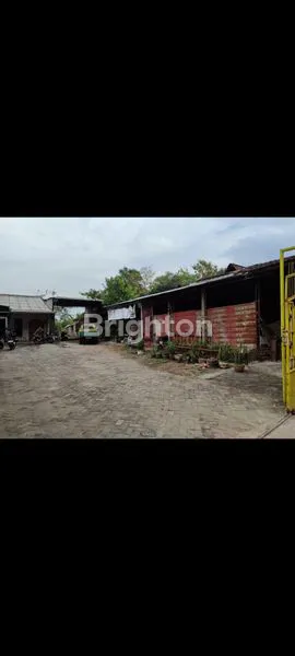 image DIJUAL MURAH TANAH BESERTA ISINYA (4)