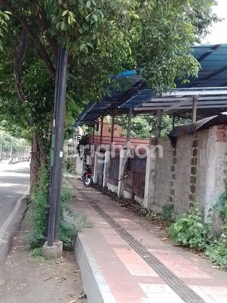 image TANAH DIJUAL 0 JALAN RAYA SUKOWIDI BANYUWANGI (2)