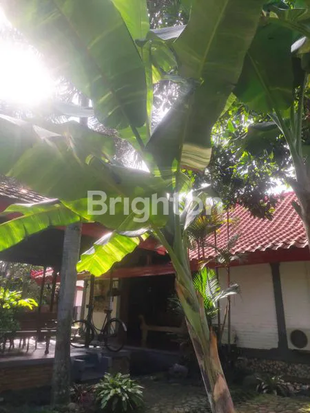 image RUMAH DI KOTA BOGOR (2)