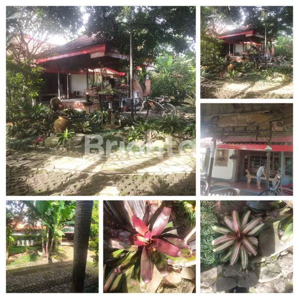 image RUMAH DI KOTA BOGOR (1)