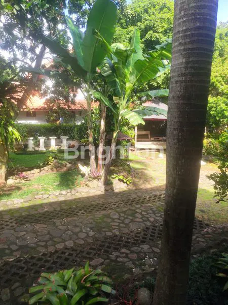 image RUMAH DI KOTA BOGOR (4)