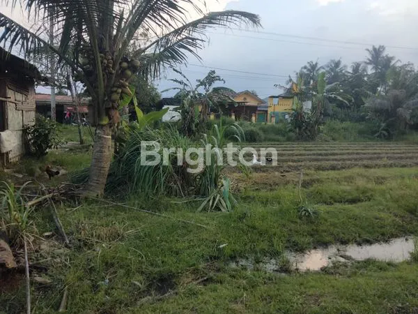 image TANAH DAN RUMAH DI JLN SEI MERAH TANJUNG MORAWA (3)