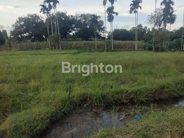 image TANAH DAN RUMAH DI JLN SEI MERAH TANJUNG MORAWA (6)