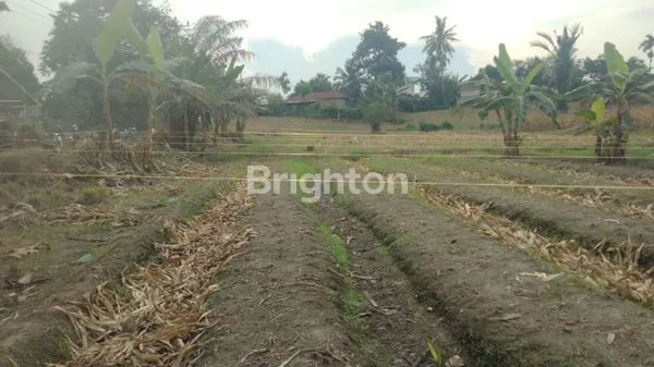 image TANAH DAN RUMAH DI JLN SEI MERAH TANJUNG MORAWA (7)