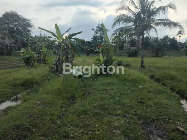 image TANAH DAN RUMAH DI JLN SEI MERAH TANJUNG MORAWA (8)