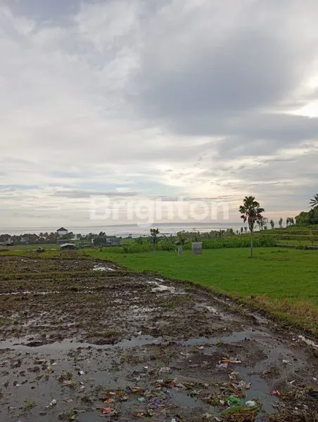 image TANAH 20 ARE DI PANTAI MEDEWI JEMBRANA (3)
