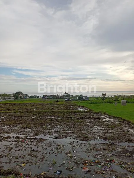 image TANAH 20 ARE DI PANTAI MEDEWI JEMBRANA (5)