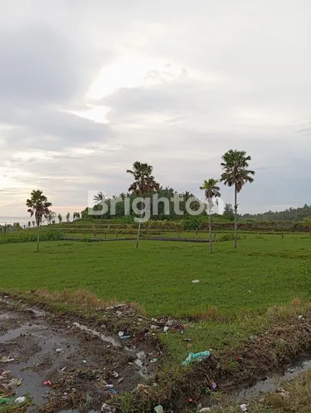 image TANAH 20 ARE DI PANTAI MEDEWI JEMBRANA (4)