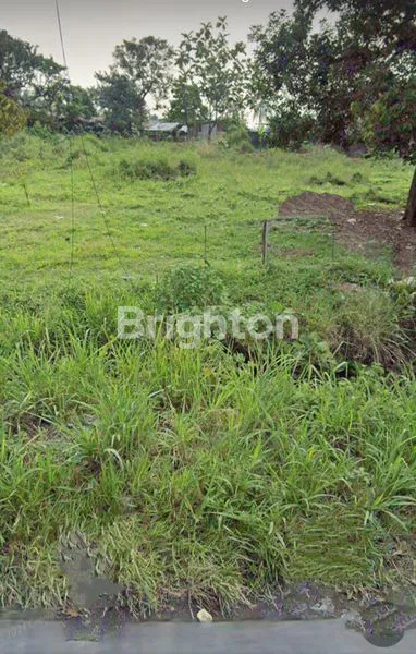 image TANAH LAPANG, KOTA BATU, CIAPUS BOGOR (3)