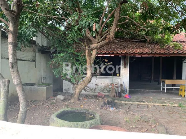 image RUMAH ADAT JAWA / JOGLO / GEBYOG, TENGAH KOTA, DALAM PERKAMPUNGAN YG TENANG DAN AMAN (3)