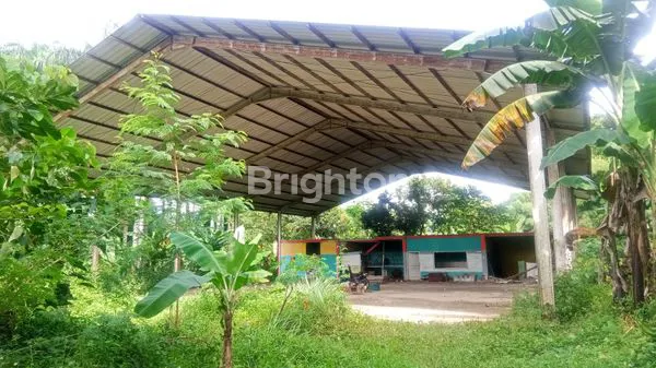 TANAH PREMIUM 1.1 HA DI SENTUL - COCOK UNTUK KOMERSIAL & RESIDENSIAL