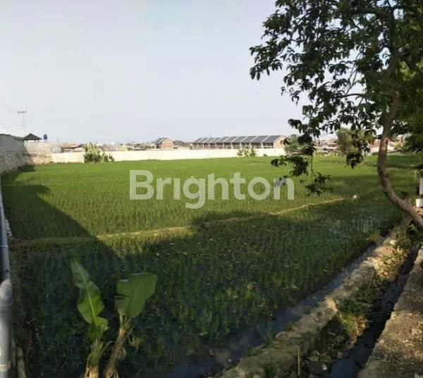 image TANAH LUAS DI MAINROAD CITEUREUP CIMAHI UTARA (1)