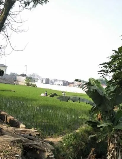 image TANAH LUAS DI MAINROAD CITEUREUP CIMAHI UTARA (2)
