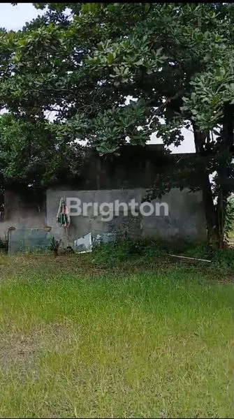 image TANAH COCOK UNTUK WISATA KULINER/RESTO , PERUMAHAN ATAU GUDANG DI MIJEN SEMARANG (5)