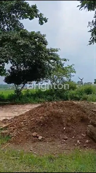 image TANAH COCOK UNTUK WISATA KULINER/RESTO , PERUMAHAN ATAU GUDANG DI MIJEN SEMARANG (4)