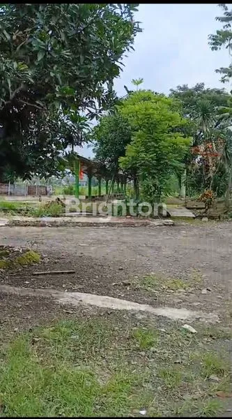 image TANAH COCOK UNTUK WISATA KULINER/RESTO , PERUMAHAN ATAU GUDANG DI MIJEN SEMARANG (3)