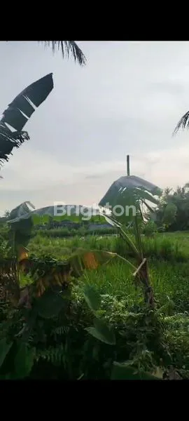 image TANAH BLAHBATU GIANYAR (3)