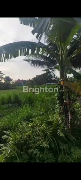 image TANAH BLAHBATU GIANYAR (2)