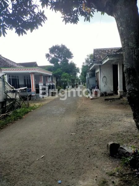 image JUAL CEPAT RUKAM SIAP HUNI\U2705 (6)