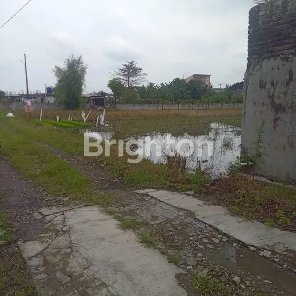 image TANAH DI JL.SMTK ,SEKITAR KAMPUS USU MEDAN (3)