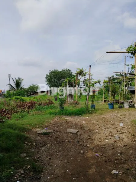 image TANAH MURAH TEGAL ALUR JAKARTA BARAT, LUAS TANAH 1543 M2 PINGGIR JALAN COCOK UNTUK USAHA, HADAP TIMUR, HARGA MSH BISA NEGO (2)