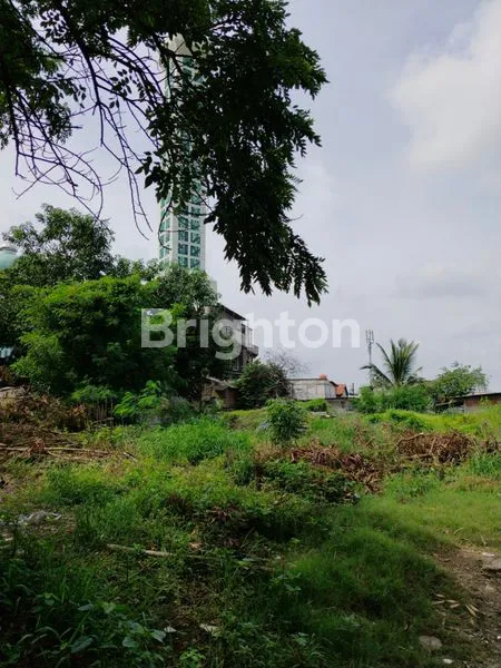 image TANAH MURAH TEGAL ALUR JAKARTA BARAT, LUAS TANAH 1543 M2 PINGGIR JALAN COCOK UNTUK USAHA, HADAP TIMUR, HARGA MSH BISA NEGO (3)