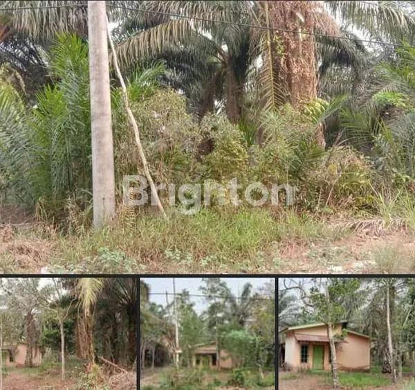 image TANAH  LUAS DI PALEMBANG MURAH (1)