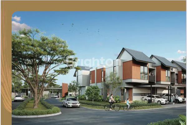 image CAKSANA CLUSTER CELOSIA (5)