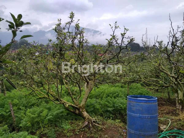 image TANAH BAGUS, VIEW BAGUS, UNTUK VILLA, BATU, MALANG (3)