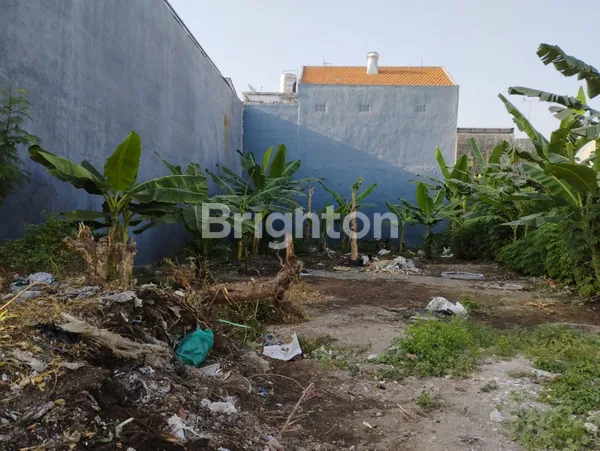 Gambar Property KAVLING KLAMPIS, MANYAR JAYA, SEMOLOWARU, LOKASI ROW JALAN 12 SAMPAI 14 MTR, DKT MERR, ARAYA