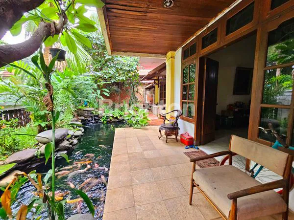 image NYAMAN HIJAU TENANG BEBAS BANJIR RUMAH LAMA TM. SEMERU (2)