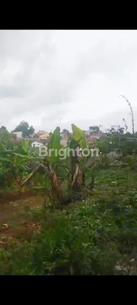 image TANAH DIJUAL (2)