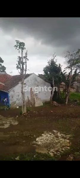 image TANAH DIJUAL (3)