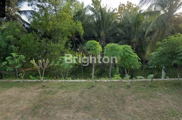 image TANAH STRATEGIS NOL JALAN UTAMA SIDOMULYO PACITAN JAWA TIMUR (2)