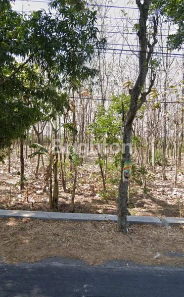 image 1.7M JUAL TANAH DI KOTA NGANJUK JAWA TIMUR (1)