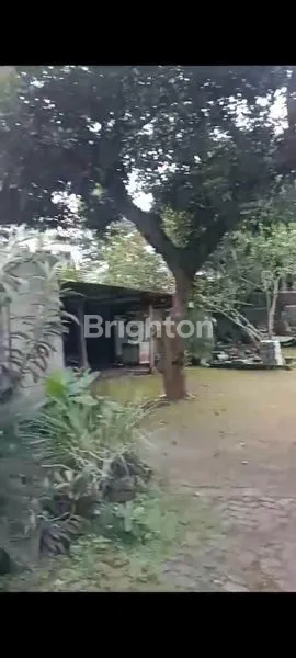 image TANAH (NGANTONG) & BONUS BANGUNAN (4)