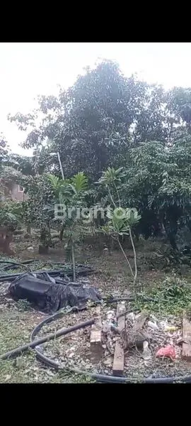 image TANAH (NGANTONG) & BONUS BANGUNAN (3)