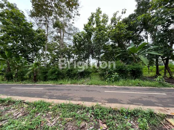 image KAVLING MURAH SERTIFIKAT SHM (5)