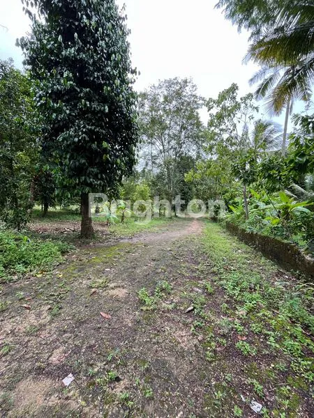 image KAVLING MURAH SERTIFIKAT SHM (6)