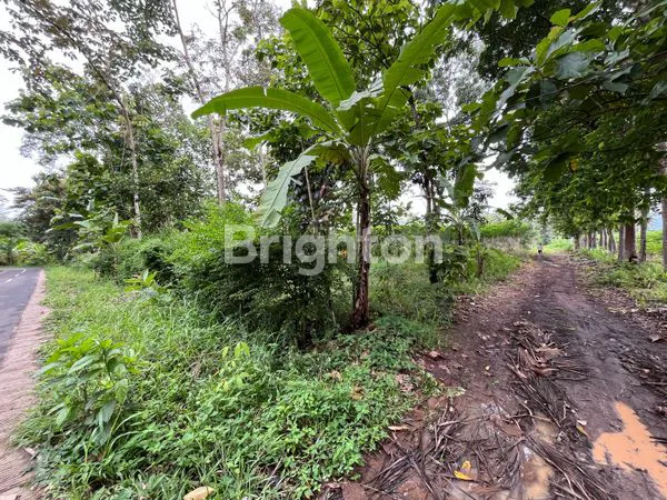 image KAVLING MURAH SERTIFIKAT SHM (8)