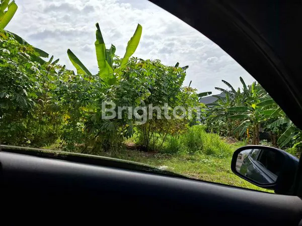 image TANAH COCOK UNTUK DI BANGUN RUMAH BARU (2)