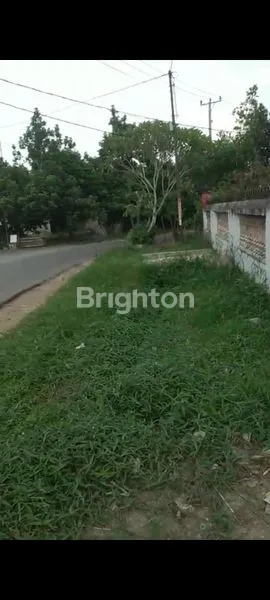 image RUMAH TINGGAL DAN TANAH KEBUN  KOTA METRO (7)