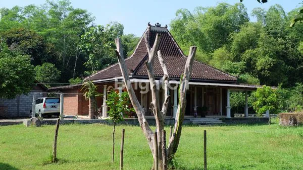 image TANAH STRATEGIS PARE KEDIRI (1)